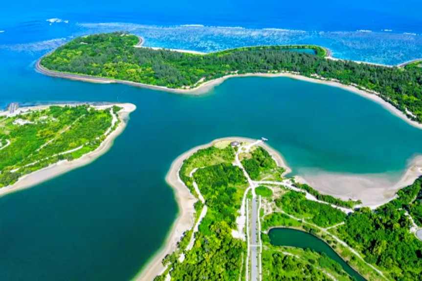 Skandal Ruang Bali Selatan, 82 Hektar Mangrove Tahura Ngurah Rai Disinyalir Masuk Kawasan BTID