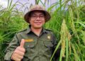 Gila! Bali Tembus 3 Besar Nasional Ketahanan Pangan 2025, Kalahkan Rata-Rata Indonesia