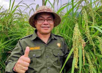 Gila! Bali Tembus 3 Besar Nasional Ketahanan Pangan 2025, Kalahkan Rata-Rata Indonesia