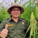 Gila! Bali Tembus 3 Besar Nasional Ketahanan Pangan 2025, Kalahkan Rata-Rata Indonesia