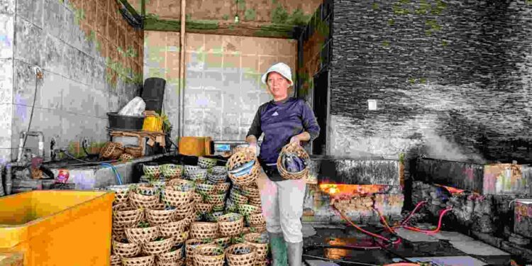 KUR BRI Jadi Nafas Baru Sentra Pemindangan Kusamba, Ratusan Keranjang Ikan Diproduksi Setiap Hari