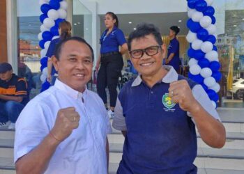 VinFast VF 7 dan Limo Green Mengaspal Siap Sambut Era Mobil Listrik, Desa Adat dan Sopir Lokal Jangan Sampai Jadi Penonton